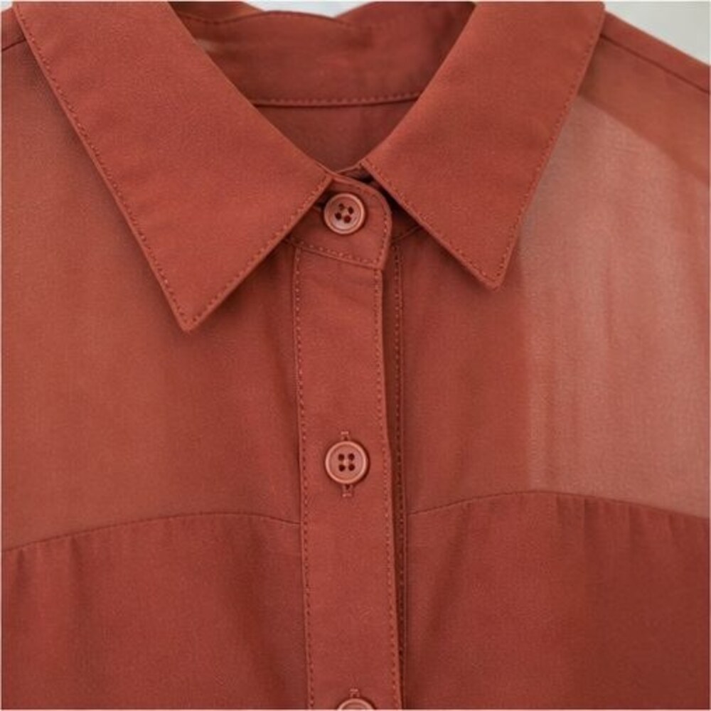 Rust Ruffle Blouse - Picture 4 of 6